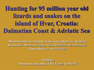 Hunting for 95 million year old lizards and snakes on the island of Hvar, Croatia: