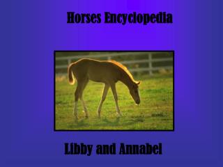 Horses Encyclopedia
