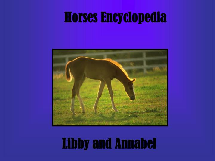 horses encyclopedia