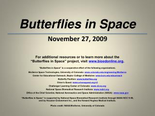 Butterflies in Space November 27, 2009