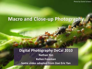 Macro and Close-up Photography