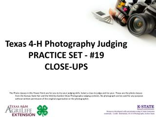 Texas 4-H Photography Judging PRACTICE SET - #19 CLOSE-UPS