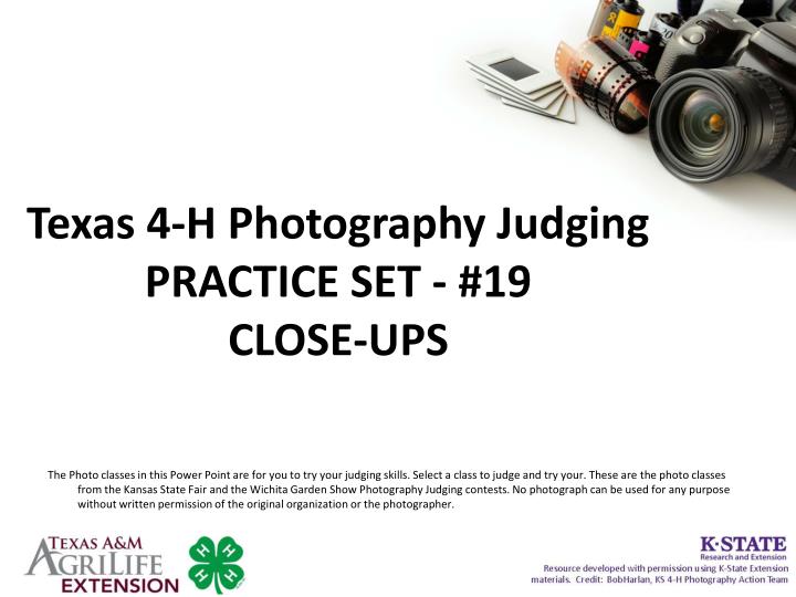 texas 4 h photography judging practice set 19 close ups