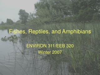 Fishes, Reptiles, and Amphibians