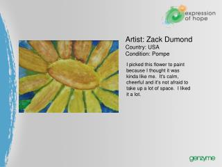 Artist: Zack Dumond Country: USA Condition: Pompe