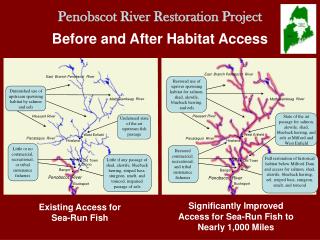 Penobscot River Restoration Project Before and After Habitat Access
