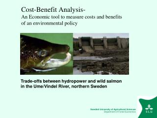 Cost-Benefit Analysis- An Economic tool to measure costs and benefits of an environmental policy