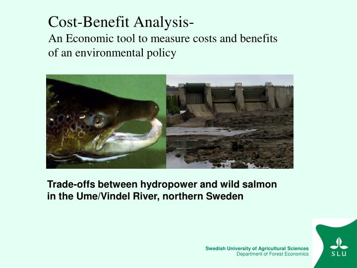 cost benefit analysis an economic tool to measure costs and benefits of an environmental policy