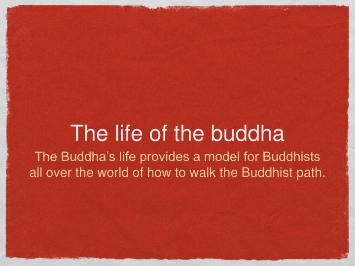 the life of the buddha