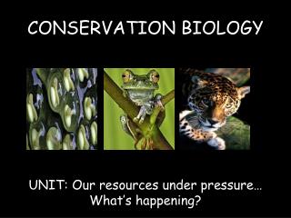 CONSERVATION BIOLOGY