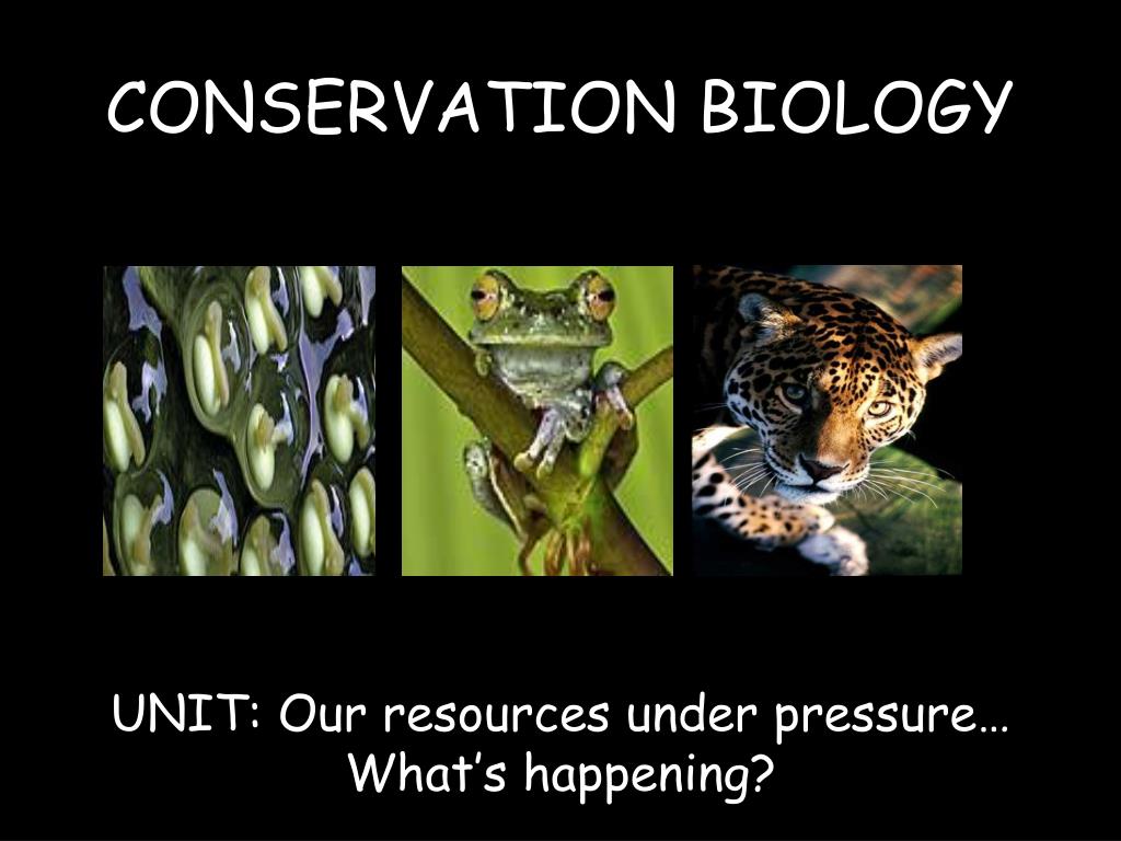 PPT - CONSERVATION BIOLOGY PowerPoint Presentation, free download - ID ...