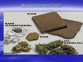 ikiaroornartoq hash