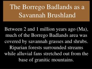 The Borrego Badlands as a Savannah Brushland