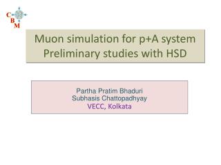 Muon simulation for p+A system Preliminary studies with HSD