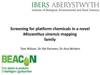 Screening for platform chemicals in a novel Miscanthus sinensis mapping family