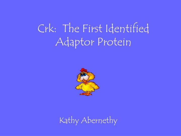 crk the first identified adaptor protein