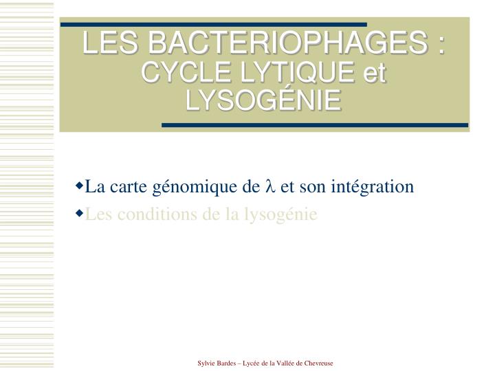 les bacteriophages cycle lytique et lysog nie