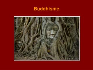 buddhisme