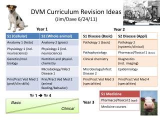 DVM Curriculum Revision Ideas (Jim/Dave 6/24/11)