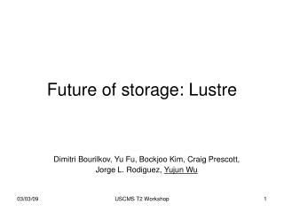 Future of storage: Lustre