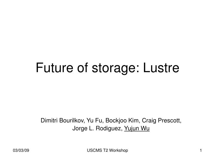 future of storage lustre