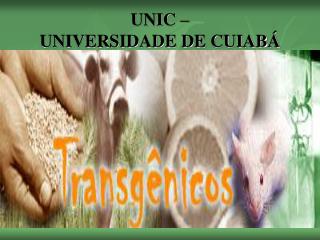 unic universidade de cuiab
