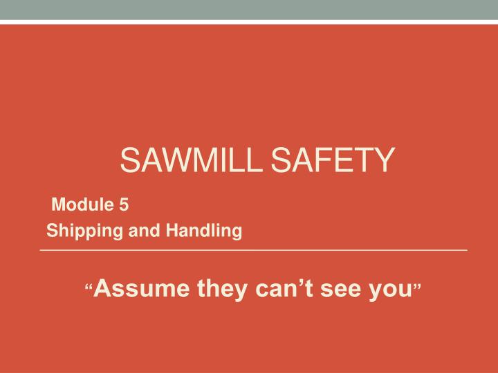 sawmill safety