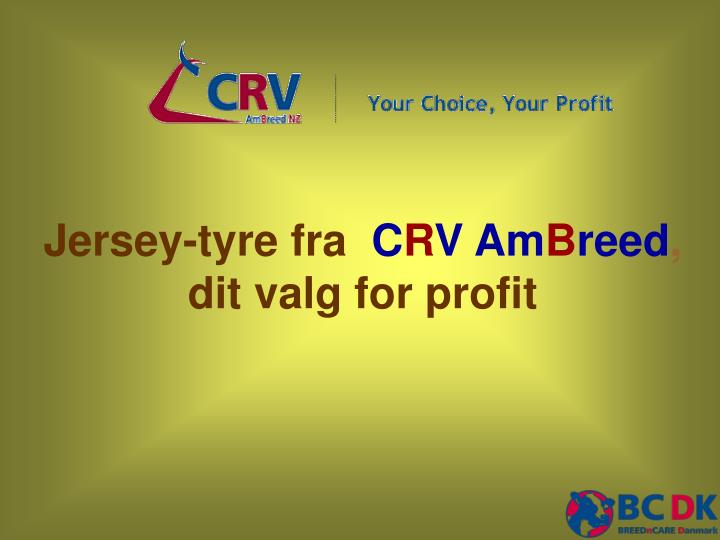 jersey tyre fra c r v am b reed dit valg for profit