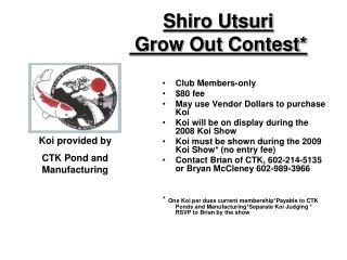 Shiro Utsuri Grow Out Contest*