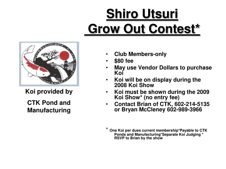 shiro utsuri grow out contest