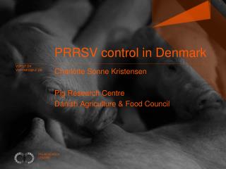 PRRSV control in Denmark