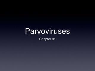 Parvoviruses