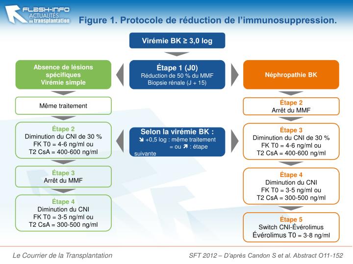 figure 1 protocole de r duction de l immunosuppression