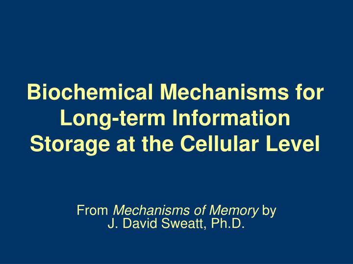biochemical mechanisms for long term information storage at the cellular level