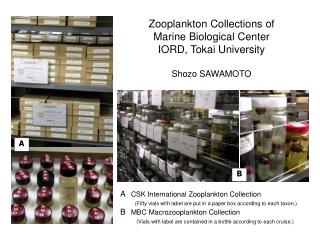 A CSK International Zooplankton Collection