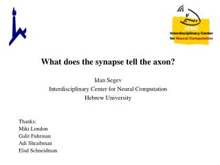 What does the synapse tell the axon?