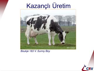 kazan l retim