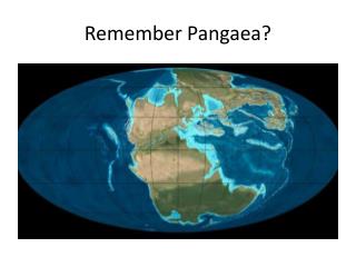 Remember Pangaea?