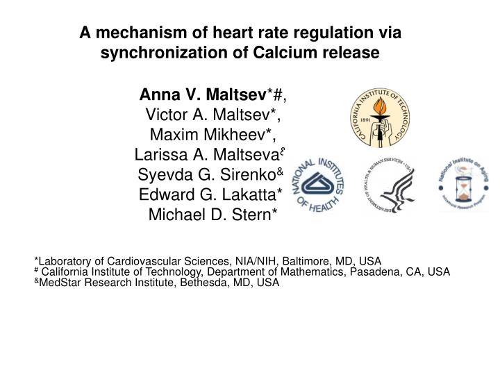 a mechanism of heart rate regulation via synchronization of calcium release