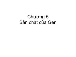 ch ng 5 b n ch t c a gen