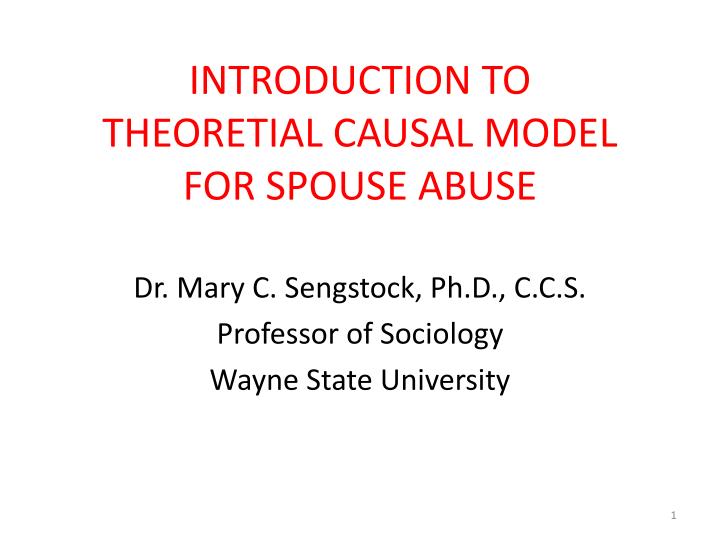 introduction to theoretial causal model for spouse abuse