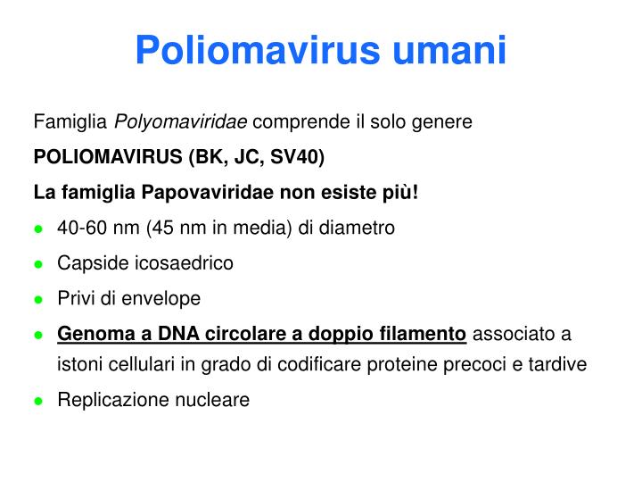 poliomavirus umani