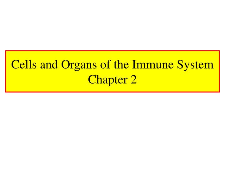 cells and organs of the immune system chapter 2