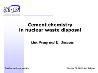 Cement chemistry in nuclear waste disposal