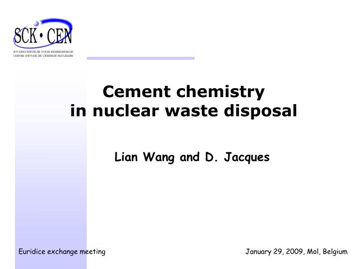 cement chemistry in nuclear waste disposal