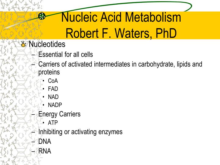 nucleic acid metabolism robert f waters phd