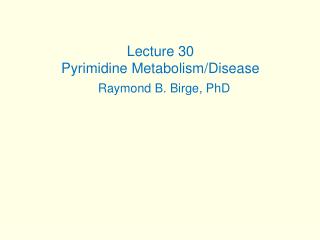 Lecture 30 Pyrimidine Metabolism/Disease