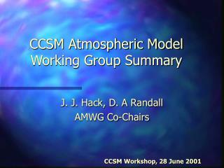 CCSM Atmospheric Model Working Group Summary