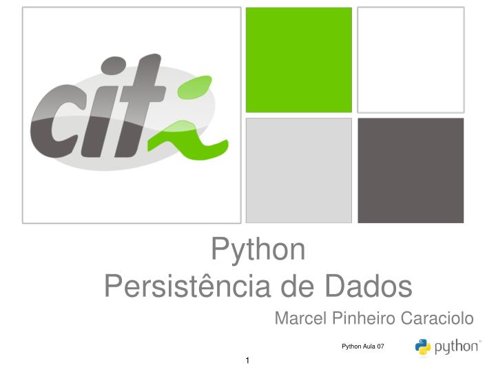 python persist ncia de dados