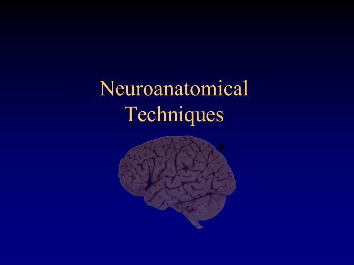 neuroanatomical techniques